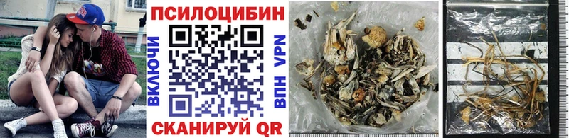 Псилоцибиновые грибы Magic Shrooms  Купить  Луга 